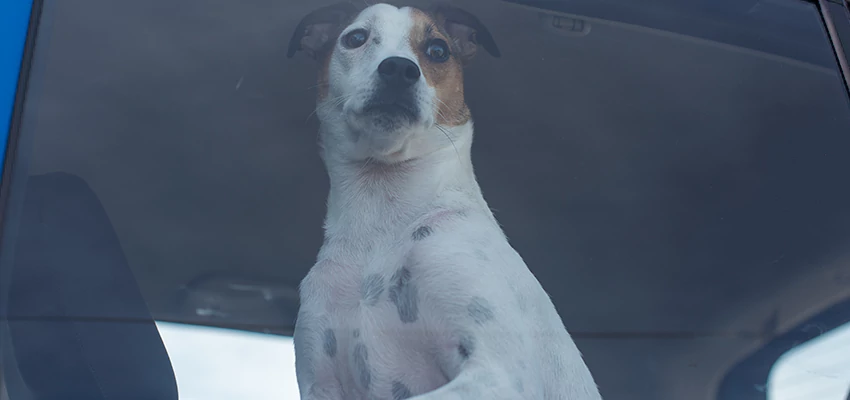 Car Lockout Solutions in El Cajon, California